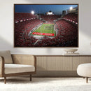 Ohio State University Buckeyes Football Team Print -