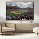 Rutgers Scarlet Knights Football Team Print - SHI Stadium,