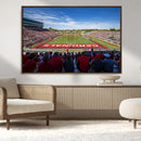 Ball State Cardinals Football Team Print - Muncie Scheumann