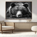 Resting Grizzly 399 Bear Canvas Print | Ready to Hang Wall