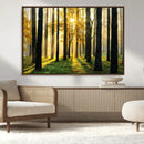 Sunlit Forest Wall Art Canvas Print – Large Framed Woodland