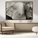 Elephant Wall Art Canvas Print