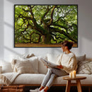 Angel Oak Tree Wall Art Canvas Print | Forest Tree Nature