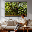 Angel Oak Tree Wall Art Canvas Print | Forest Tree Nature