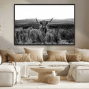 Black and White Highland Cow Canvas Wall Art, Longhorn by MyGreatCanvas | Canvas Wall Art Prints | Photo Prints & Wall Decor