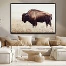 Bison in Field Wall Art Canvas Print For Farmhouse Barn
