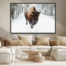 Bison Wall Art Canvas Print For Farmhouse, Animal Canvas