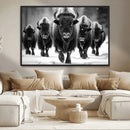 American Bison Art | Buffalo Herd Wall Art Canvas Print, BW