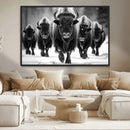 American Bison Art | Buffalo Herd Wall Art Canvas Print, BW