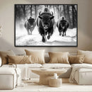 Buffalo Wall Art Canvas Print, Bison Family Wall Art Canvas by MyGreatCanvas | Canvas Wall Art Prints | Photo Prints & Wall Decor