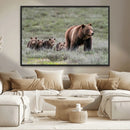 Wildlife Photography of 399 Grizzly Bear Cubs | Queen of the