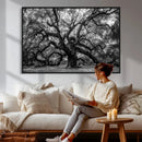 Black and White Old Angel Oak Tree Wall Art Canvas Print