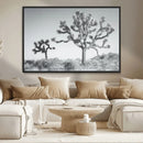 Joshua Tree Wall Art Canvas Print – Framed Black White