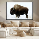 Bison Wall Art Canvas Print – Framed Western Wildlife