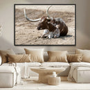 Texas Longhorn Wall Art Canvas Print – Framed Country Living