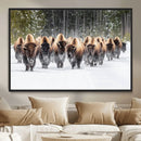 Bison Herd Scene Wall Art Canvas Print – Framed Western by MyGreatCanvas | Canvas Wall Art Prints | Photo Prints & Wall Decor