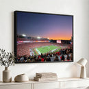 Dooley Stadium Wall Art, Sports Arena Canvas Print, Dooley