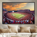 Dooley Stadium Wall Art, Sports Arena Canvas Print, Dooley by MyGreatCanvas | Canvas Wall Art Prints | Photo Prints & Wall Decor