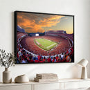 Dooley Stadium Wall Art, Sports Arena Canvas Print, Dooley