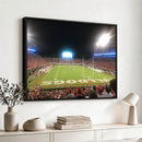 Dooley Stadium Wall Art, Sports Arena Panoramic Canvas