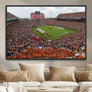 Jordan-Hare Stadium Wall Art Canvas Print, College Sports by MyGreatCanvas | Canvas Wall Art Prints | Photo Prints & Wall Decor
