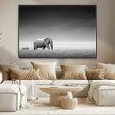 Elephand and Zebra Wall Art Canvas Print, Modern Artwork