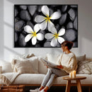 Plumeria Frangipani Black Stone Canvas | White Flower Spa by MyGreatCanvas | Canvas Wall Art Prints | Photo Prints & Wall Decor