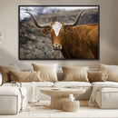 Texas Longhorn Canvas Wall Art - Longhorn Steer Canvas Wall