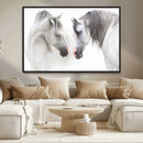 White Horse Wall Art Animal Canvas Print