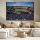 South Carolina Gamecocks Football Team Print - Columbia