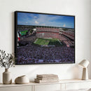 South Carolina Gamecocks Football Team Print - Columbia