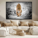 Jaguar Wall Art Canvas Print - Majestic Big Cat in Focused by MyGreatCanvas | Canvas Wall Art Prints | Photo Prints & Wall Decor