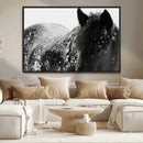Black Horse in Snow Canvas Print | Winter Horse Wall Art |