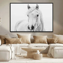 Majestic White Horse Wall Art | Ready to Hang and Framed | by MyGreatCanvas | Canvas Wall Art Prints | Photo Prints & Wall Decor