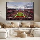 Florida Tampa Raymond James Stadium Wall Art Canvas Print -