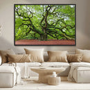Framed Angel Oak Tree Wall Art - 3-Panel Canvas Prints,