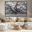 Black White Angel Oak Tree Wall Art - Timeless