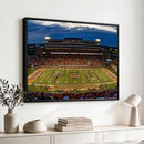 University of Illinois Fighting Illini Football Team Print -