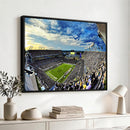 Framed USF Bulls Football Team Print - Tampa Raymond James