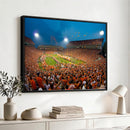 Clemson University Tigers Football Team Print - Clemson