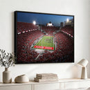 Ohio State University Buckeyes Football Team Print -
