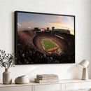 Ohio State University Buckeyes Football Team Print -