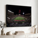 Framed Texas Tech Red Raiders Stadium Canvas, Texas Tech Red