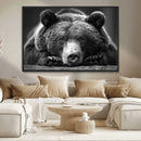 Resting Grizzly 399 Bear Canvas Print | Ready to Hang Wall