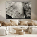 Elephant Wall Art Canvas Print