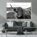 Longhorn Steer Canvas Print Wall Art, Highland Cow Canvas by MyGreatCanvas | Canvas Wall Art Prints | Photo Prints & Wall Decor