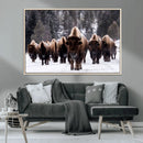 Bison Wall Art Canvas Print- Bison Herd Canvas Wall Art –