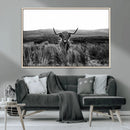 Black and White Highland Cow Canvas Wall Art, Longhorn by MyGreatCanvas | Canvas Wall Art Prints | Photo Prints & Wall Decor