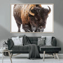 Bison Wall Art Canvas Print For Farmhouse, Wild Animal Wall by MyGreatCanvas | Canvas Wall Art Prints | Photo Prints & Wall Decor