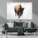 Bison Winter Wall Art Canvas Print For Farmhouse Decor